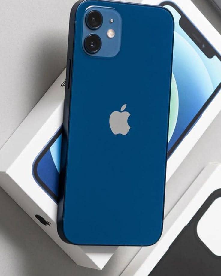 Apple iPhone 12 1