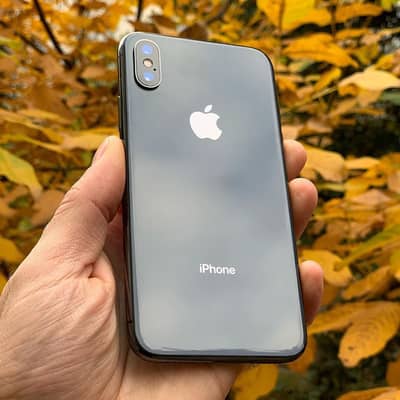 Apple iPhone X