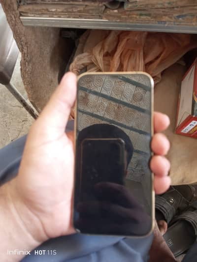 Apple iPhone 12 Pro Pta approved