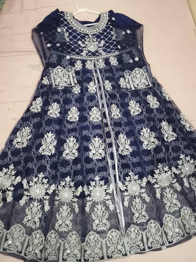 Beautiful Party Wear Suit  – Silk & Net
