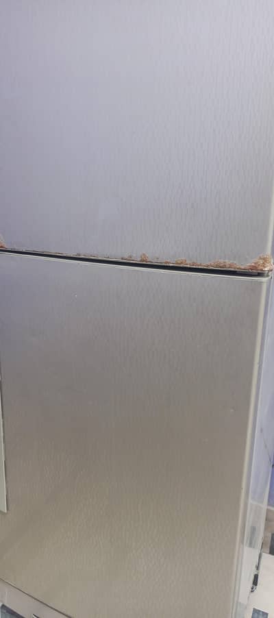 fridge