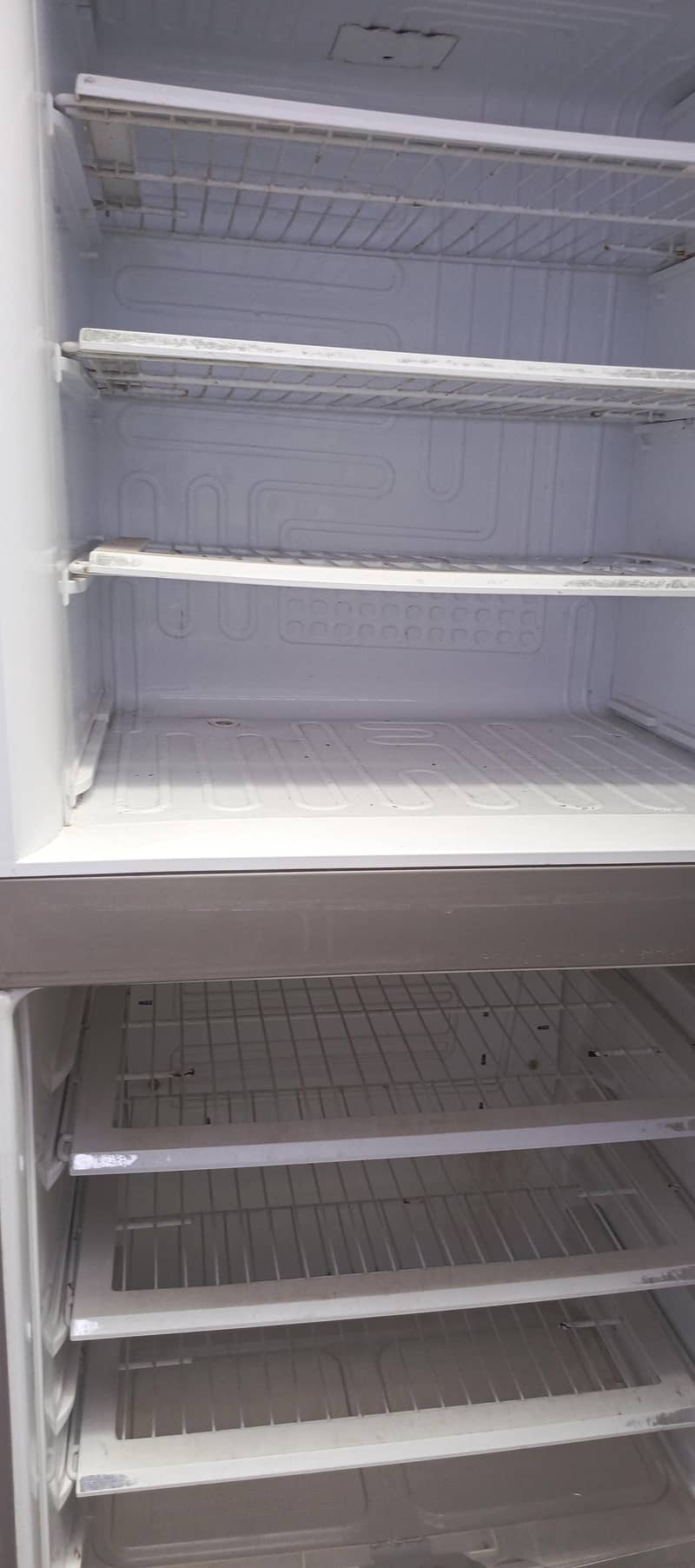 fridge 1