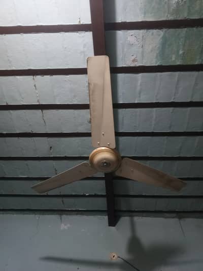 celling fan