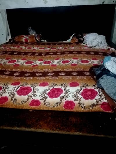 all ok king size beds