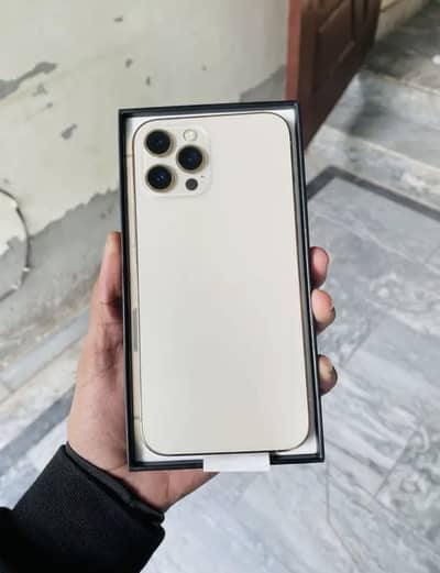iPhone 12 Pro Max Golden Dual sim PTA Exchange possible