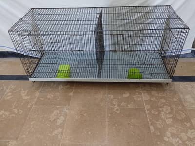 Parrot Cage | Hen Cage | Aseel Cage| Cat Cage| Tame Bird Cage