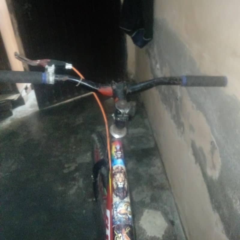 Bicycle 4