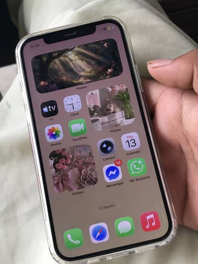 Apple iPhone 12