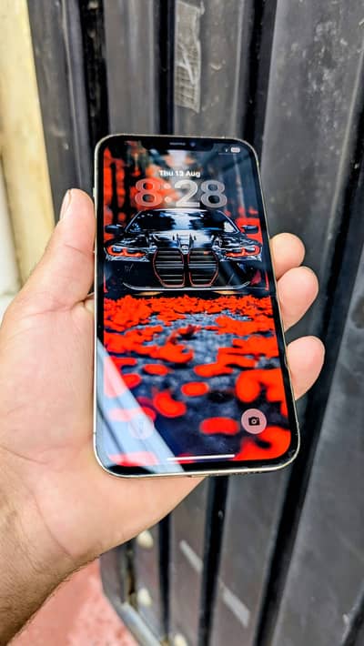 Apple iPhone 12 Pro Max