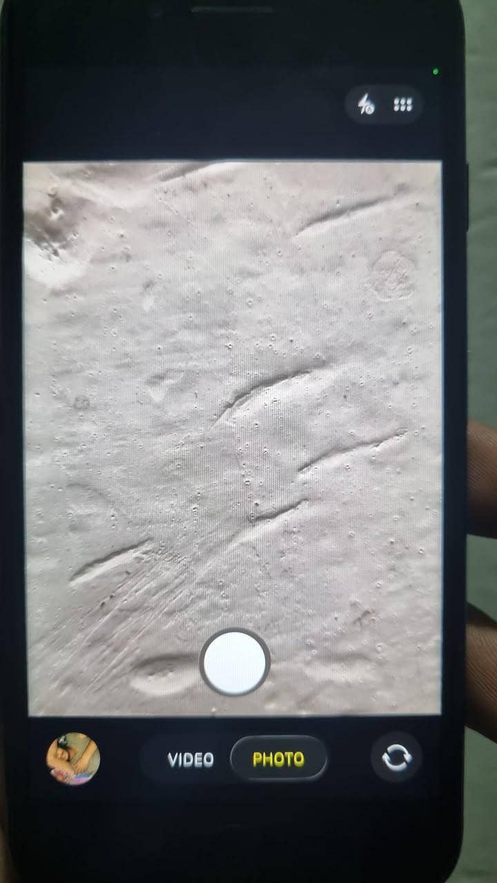 Apple iPhone SE 6