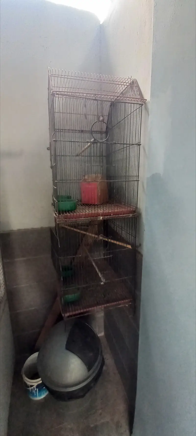 2 birds cages for sale — photo 2