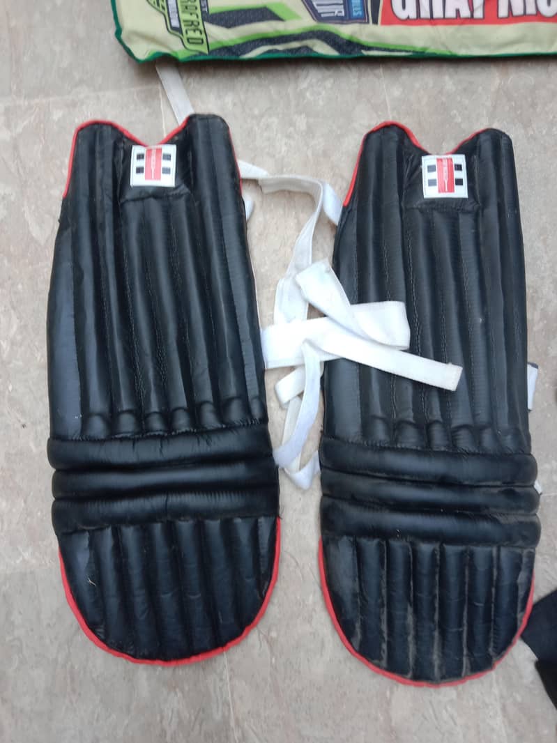 cricket kit 1