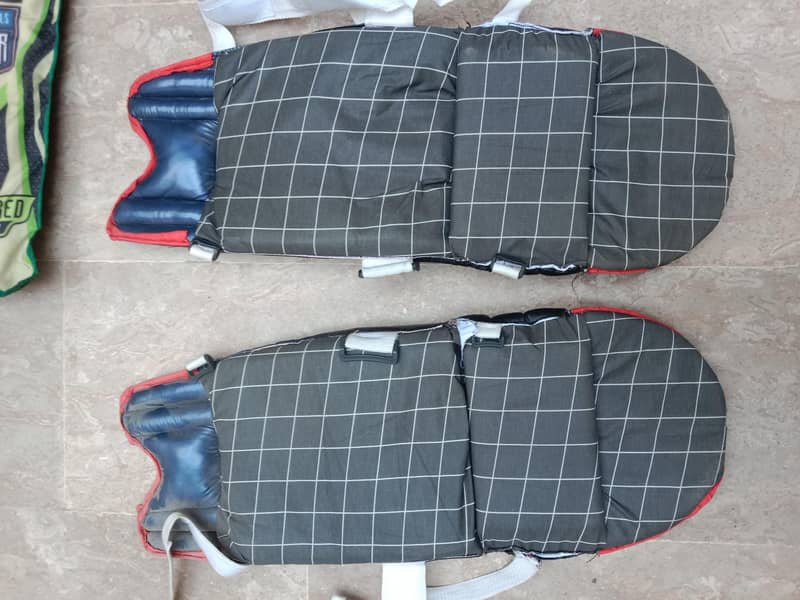 cricket kit 2