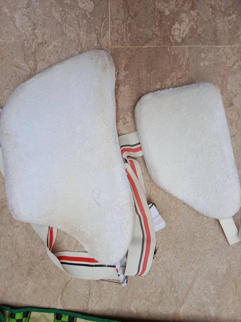 cricket kit 4
