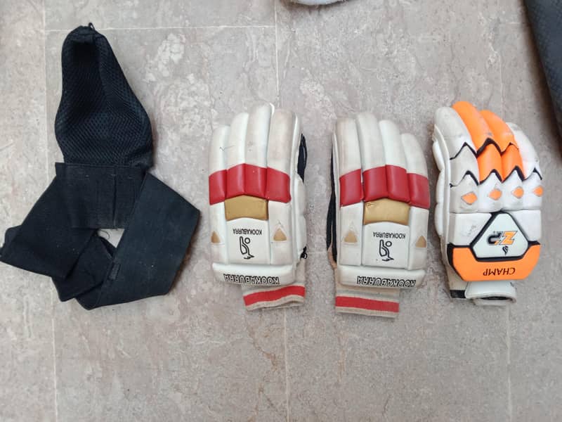 cricket kit 5