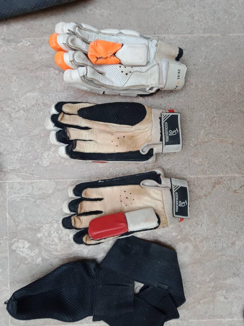 cricket kit 6