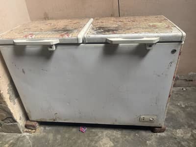 PEL Double Door Deep Freezer