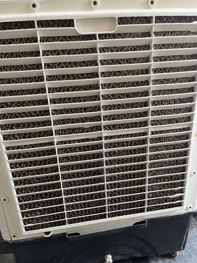Air cooler