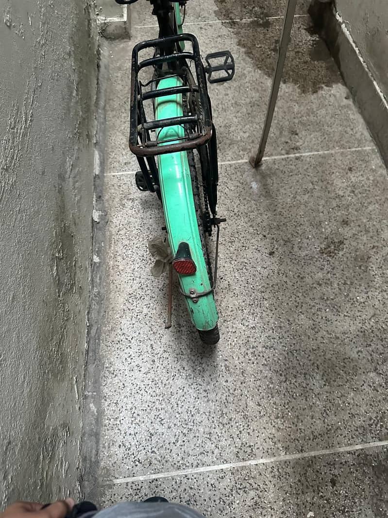 cycle 0