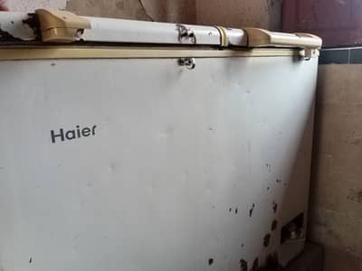 Haier