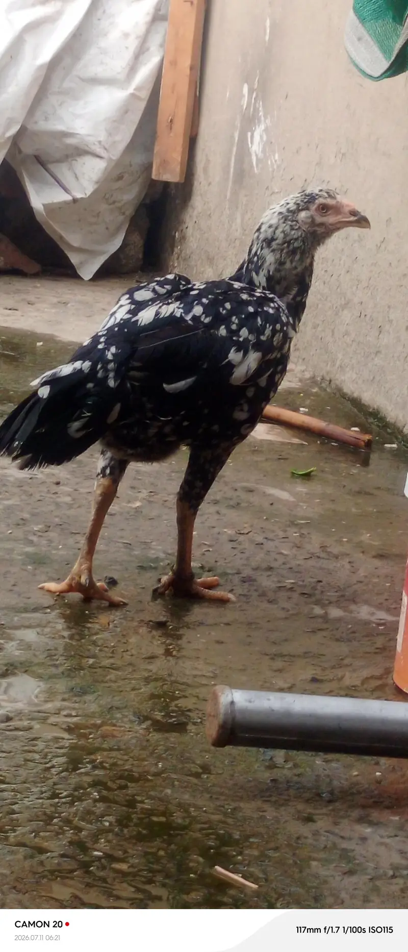 Muskan aur Chini Mati — photo 4
