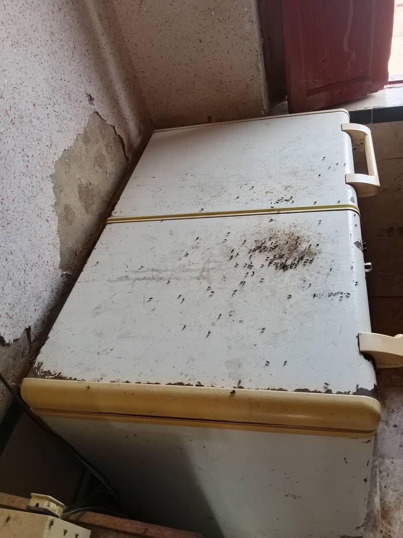 Haier 3