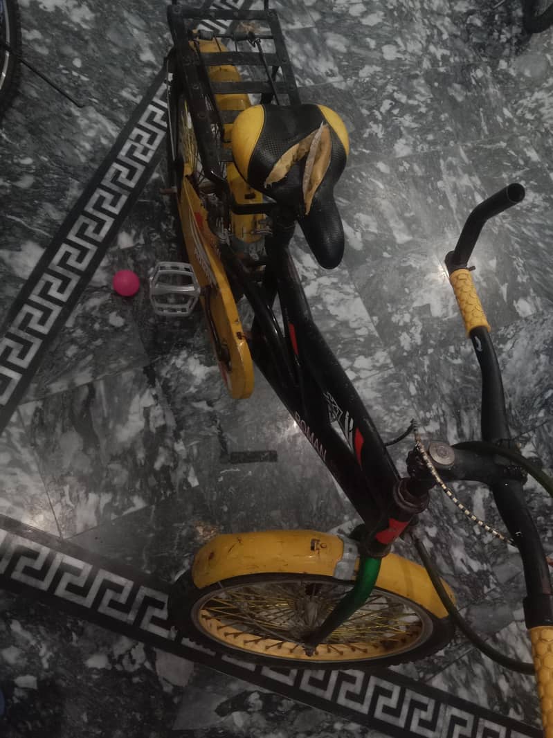 bicycle 2