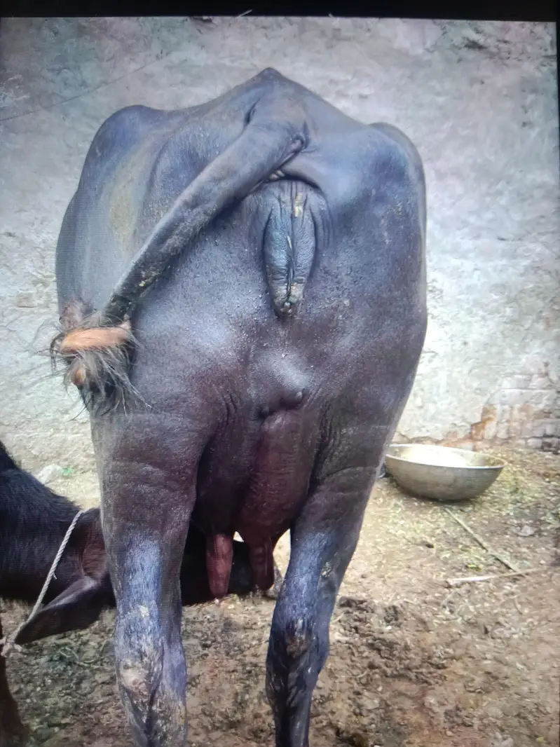 Dusra sua choti — photo 2