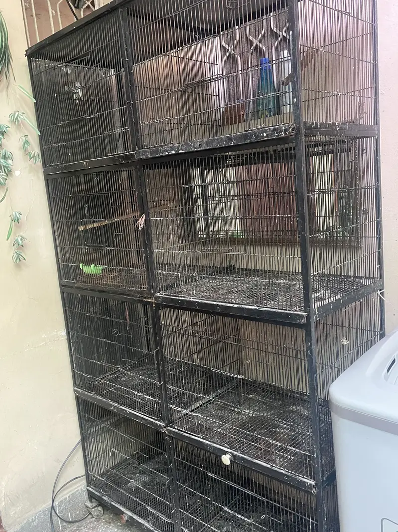 full angel iron cage