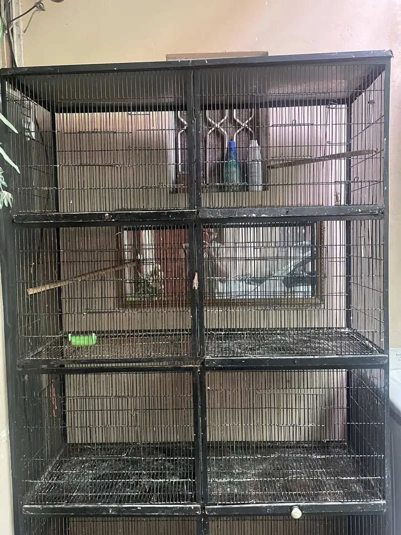 full angel iron cage — photo 3