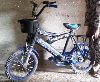 Hadi cycle