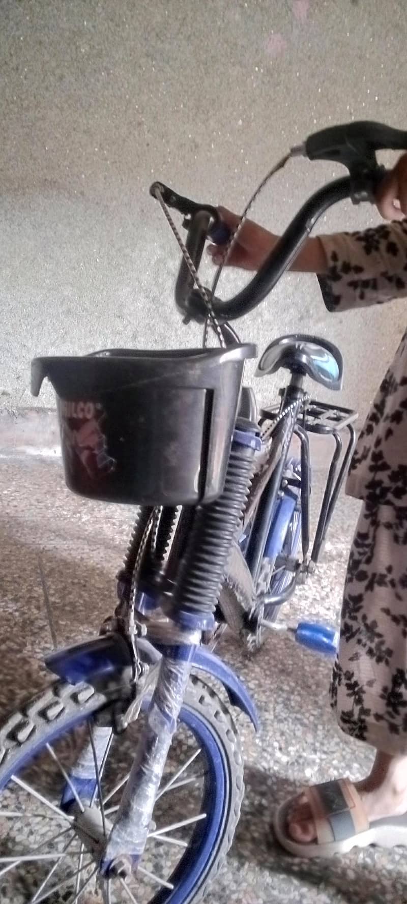 Hadi cycle 2