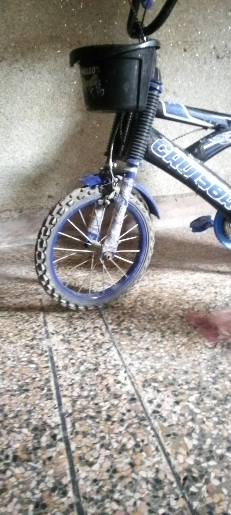 Hadi cycle 3