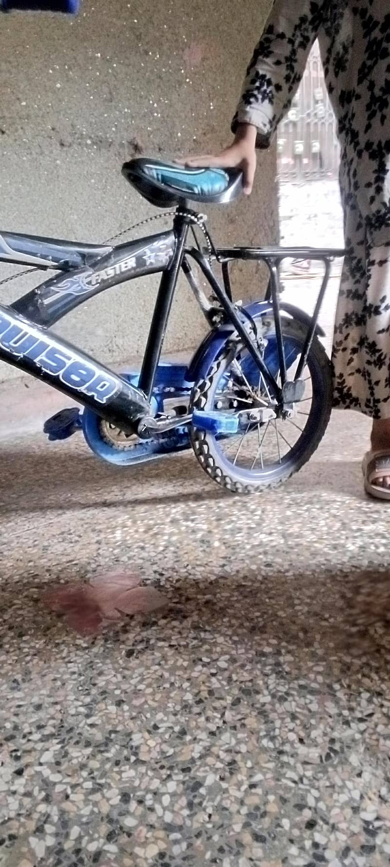 Hadi cycle 4
