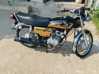Honda 125 gold edition 2024/25 03219599697