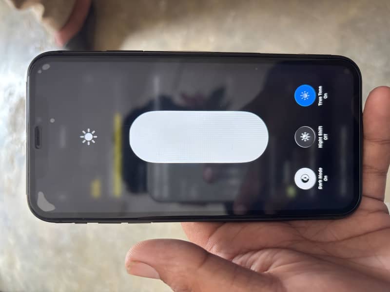 Apple iPhone 11 4