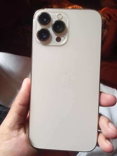 iPhone 13 Pro Max