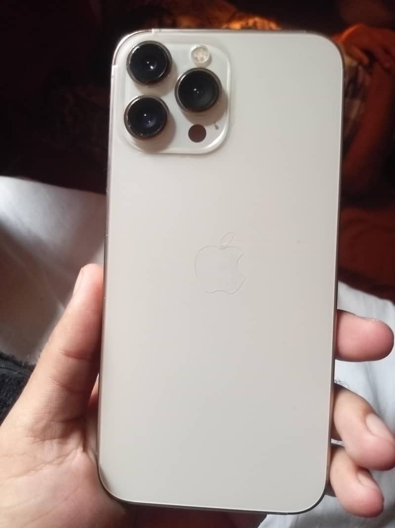 iPhone 13 Pro Max 0