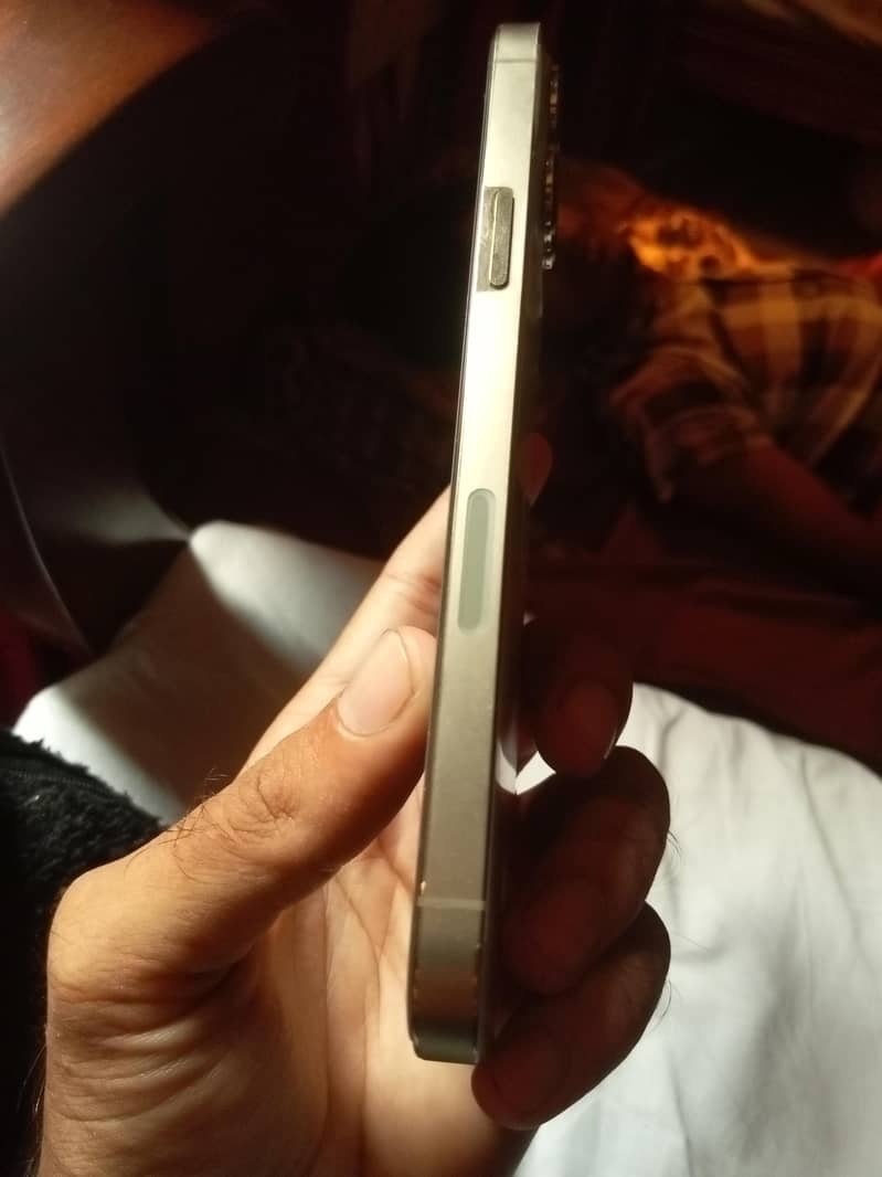 iPhone 13 Pro Max 2
