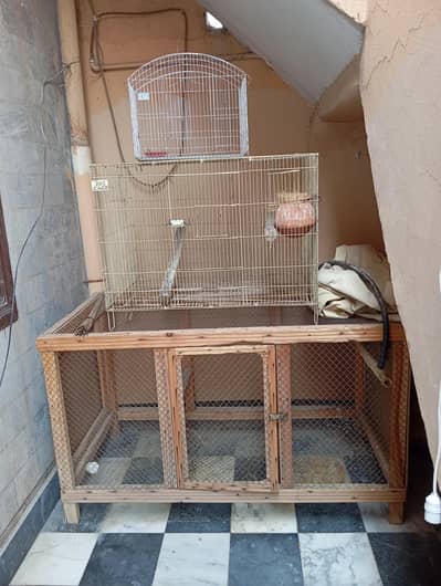cages for sale