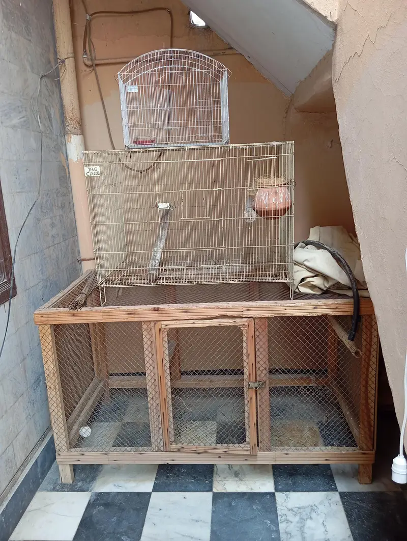 cages for sale