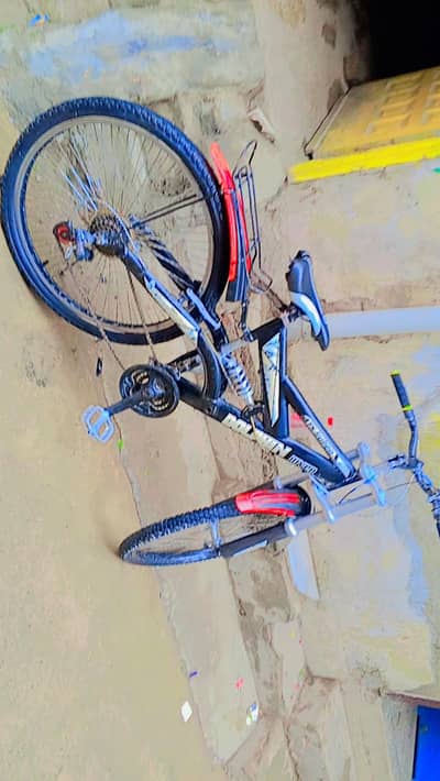 dolphin river bicycle for sale best condition silver colour 2 motor
