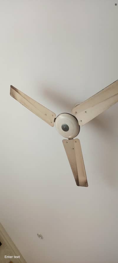 fans good condition