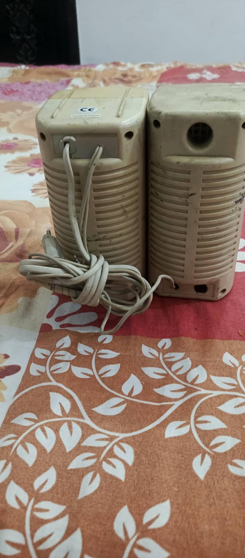 speaker 1