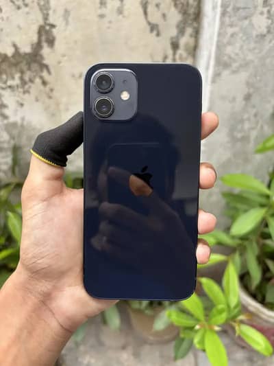Apple iPhone 12