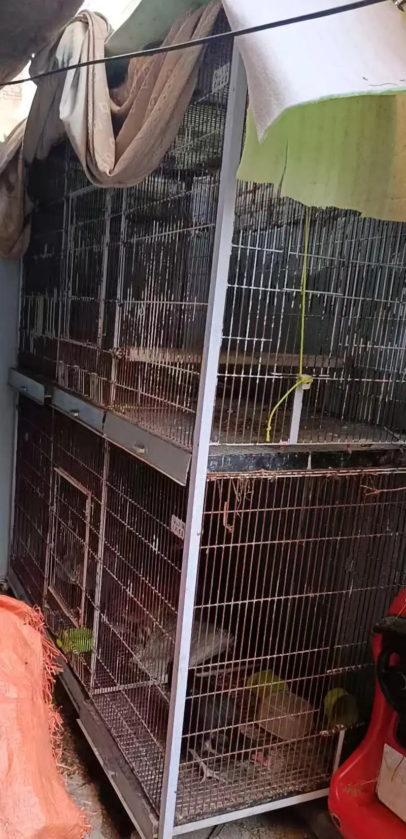 jumbo size cage for pets . . .