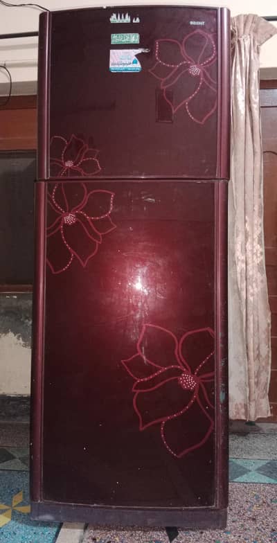 Orient Full sized Glass door Refrigerator