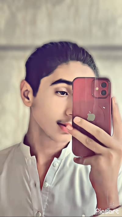 Ziddi Bhutta