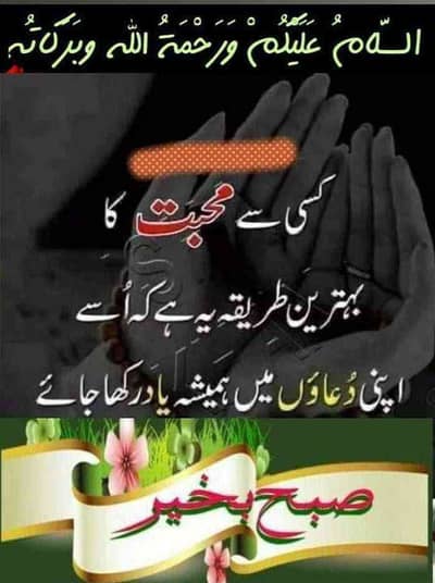 Muhammed saleem