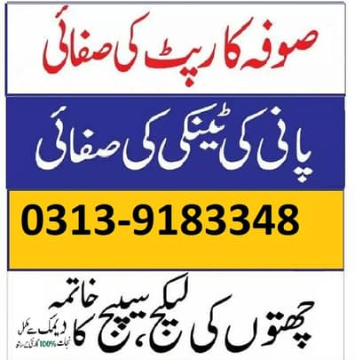 Sofa Carpet Washing, Water Tank Cleaning, Home Service, 0316-555-1869
